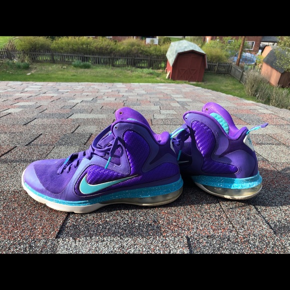 lebron charlotte hornets shoes